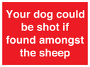 your-dog-could-be-shot-if-found-amongst-the-sheep~